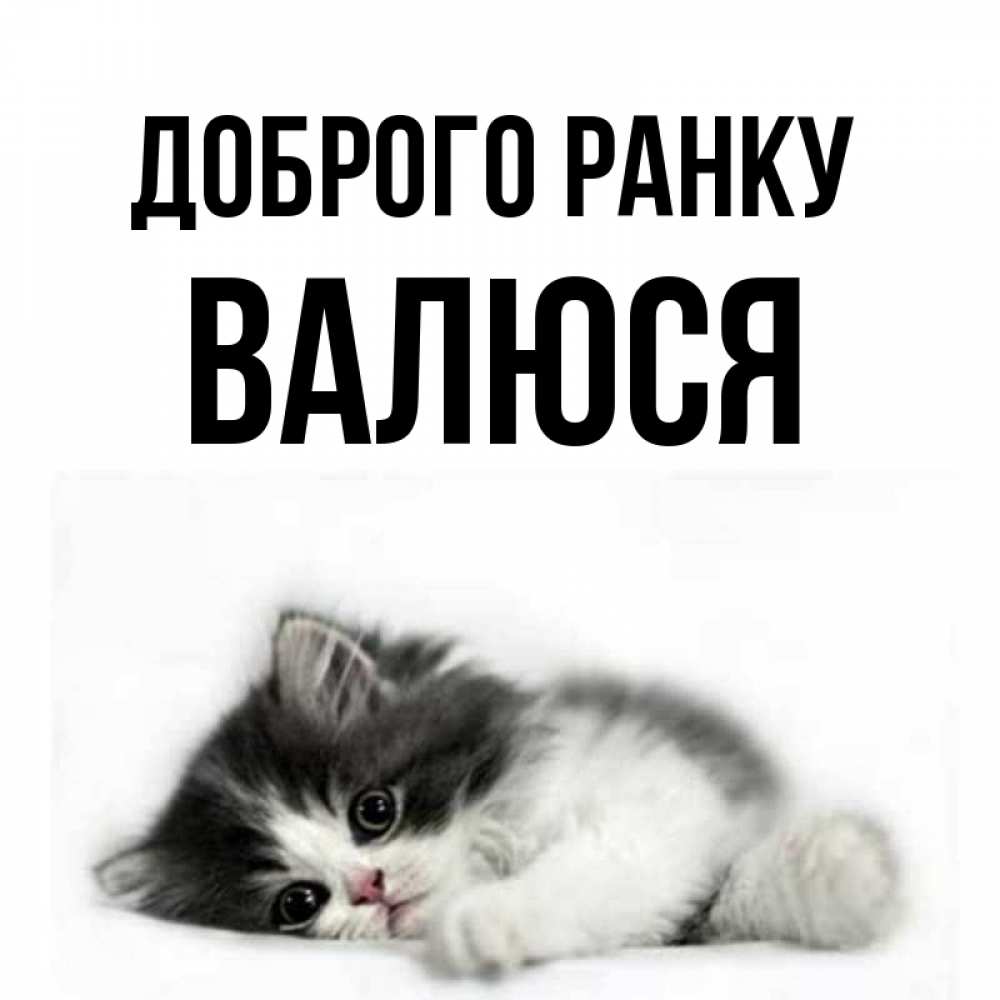 Открытка на каждый день з підписом, Валюся Доброго ранку кот лапки Прикольна листівка з побажанням онлайн скачати безкоштовно 
