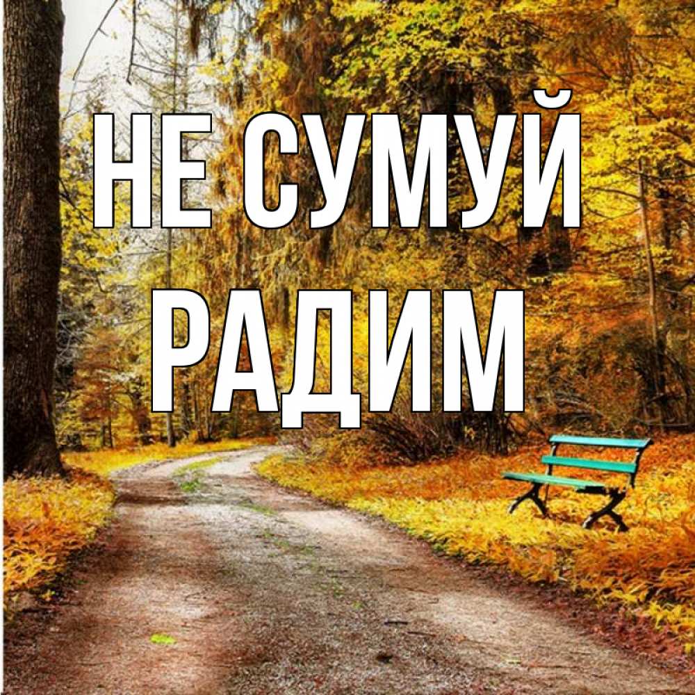 Открытка на каждый день з підписом, Радим Не сумуй зеленая лавочка Прикольна листівка з побажанням онлайн скачати безкоштовно 
