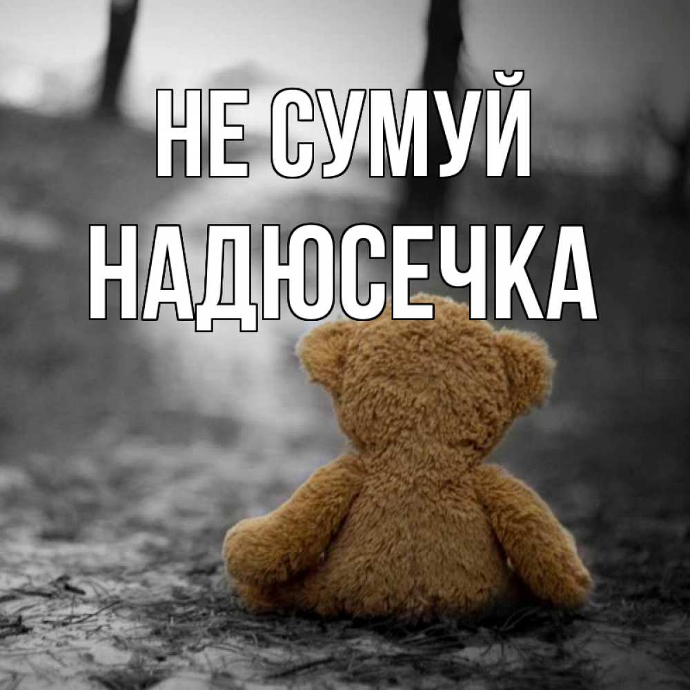 Открытка на каждый день з підписом, Надюсечка Не сумуй медведь со спин Прикольна листівка з побажанням онлайн скачати безкоштовно 