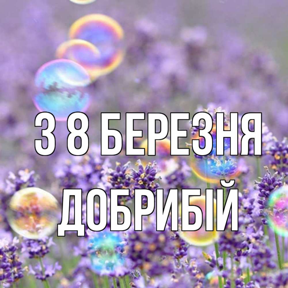 Открытка на каждый день з підписом, Добрибій З 8 БЕРЕЗНЯ цветы Прикольна листівка з побажанням онлайн скачати безкоштовно 