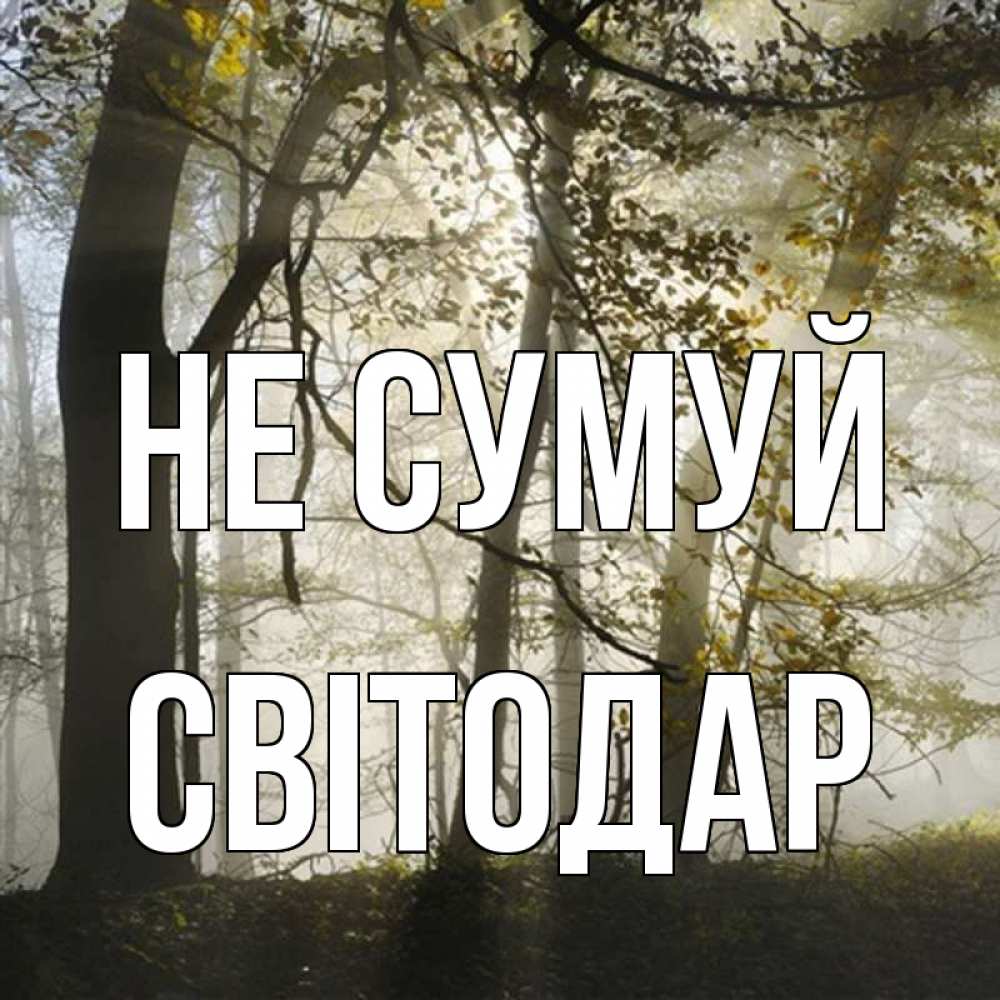 Открытка на каждый день з підписом, Світодар Не сумуй лес и свет Прикольна листівка з побажанням онлайн скачати безкоштовно 