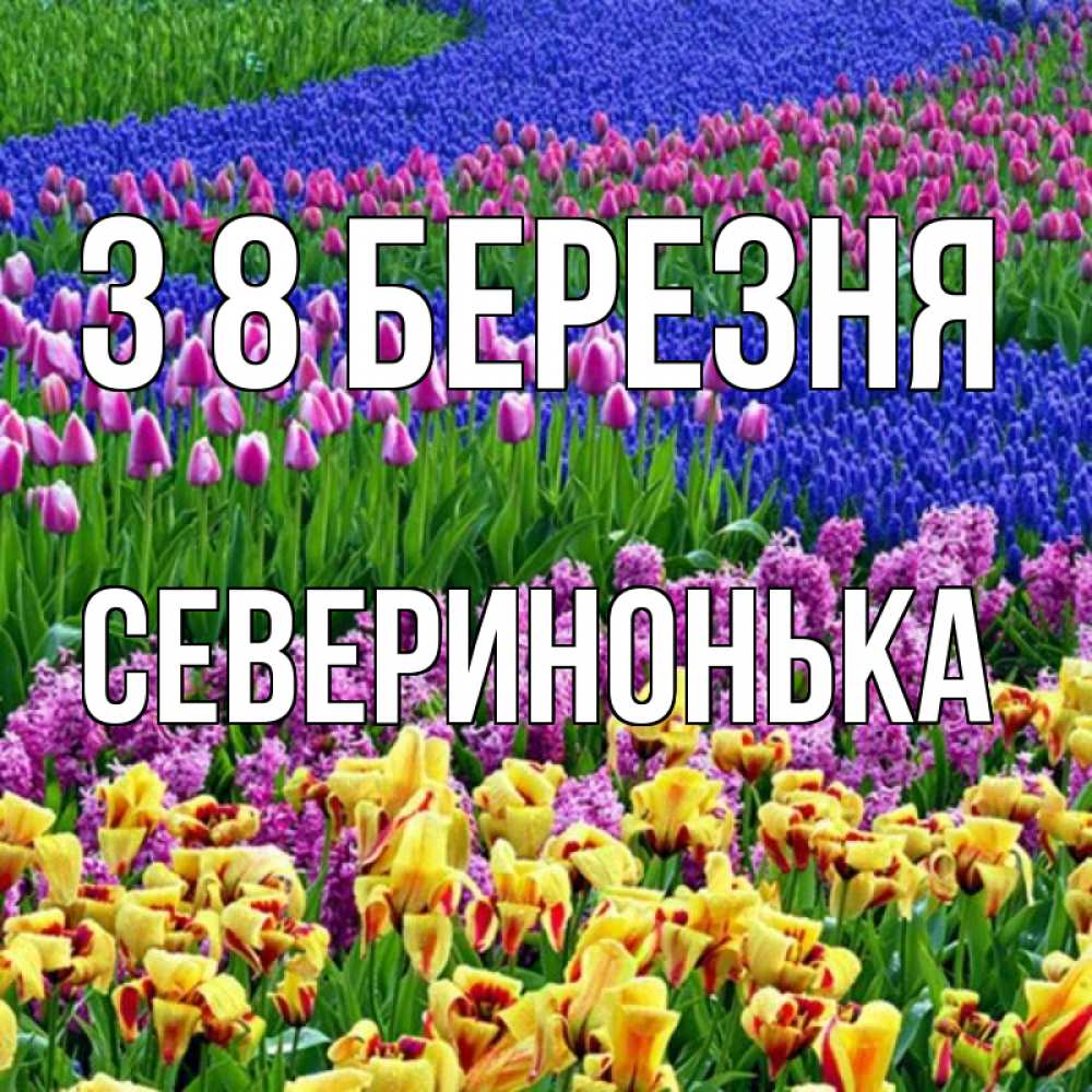 Открытка на каждый день з підписом, Северинонька З 8 БЕРЕЗНЯ цветы Прикольна листівка з побажанням онлайн скачати безкоштовно 
