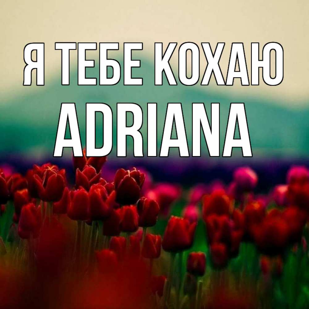 Открытка на каждый день з підписом, Adriana Я тебе кохаю тюльпаны 4 Прикольна листівка з побажанням онлайн скачати безкоштовно 