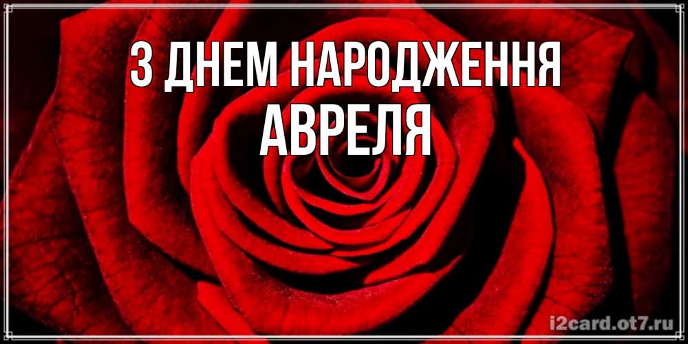 Открытка на каждый день з підписом, Авреля З Днем народження алая роза Прикольна листівка з побажанням онлайн скачати безкоштовно 