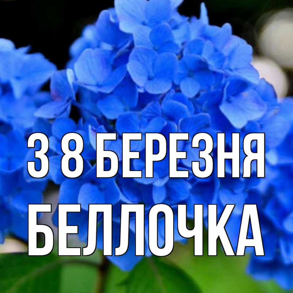 Открытка на каждый день з підписом, Беллочка З 8 БЕРЕЗНЯ синие цветы Прикольна листівка з побажанням онлайн скачати безкоштовно 