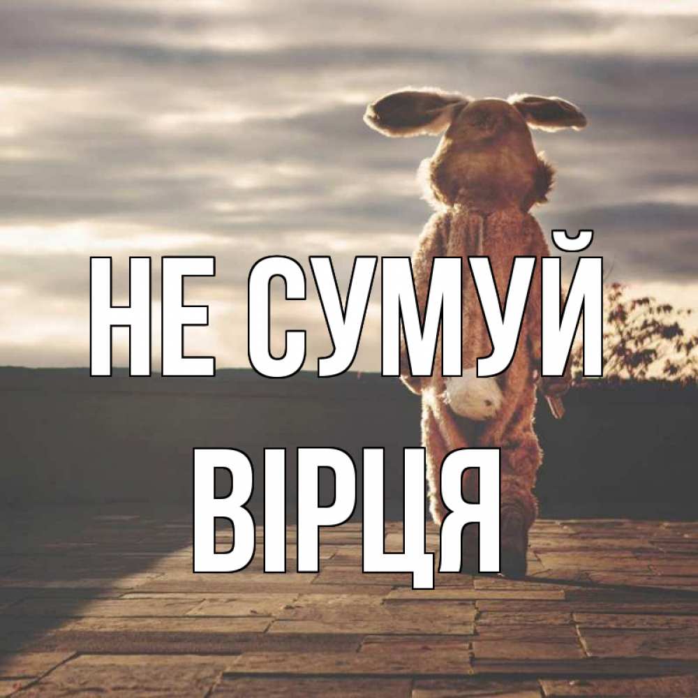Открытка на каждый день з підписом, Вірця Не сумуй со спины Прикольна листівка з побажанням онлайн скачати безкоштовно 