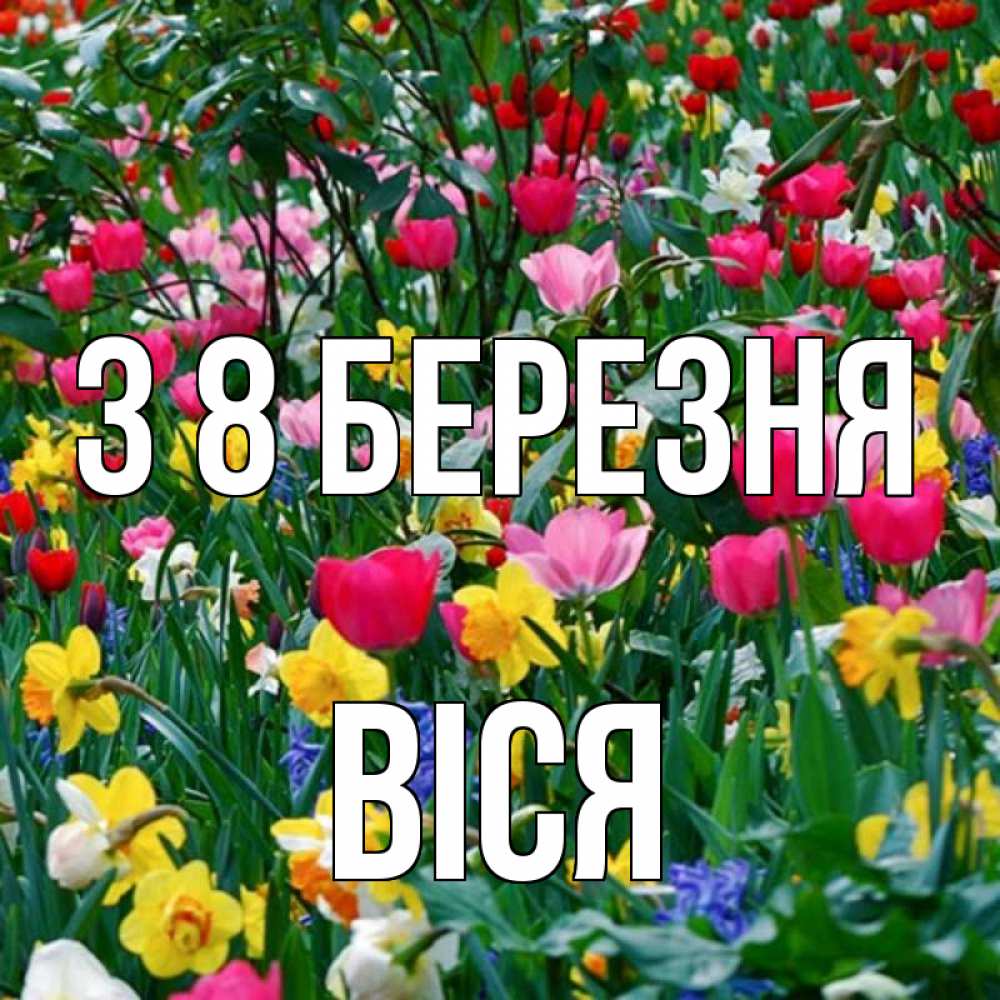 Открытка на каждый день з підписом, Віся З 8 БЕРЕЗНЯ с международным женским днем поздравления для женщины Прикольна листівка з побажанням онлайн скачати безкоштовно 