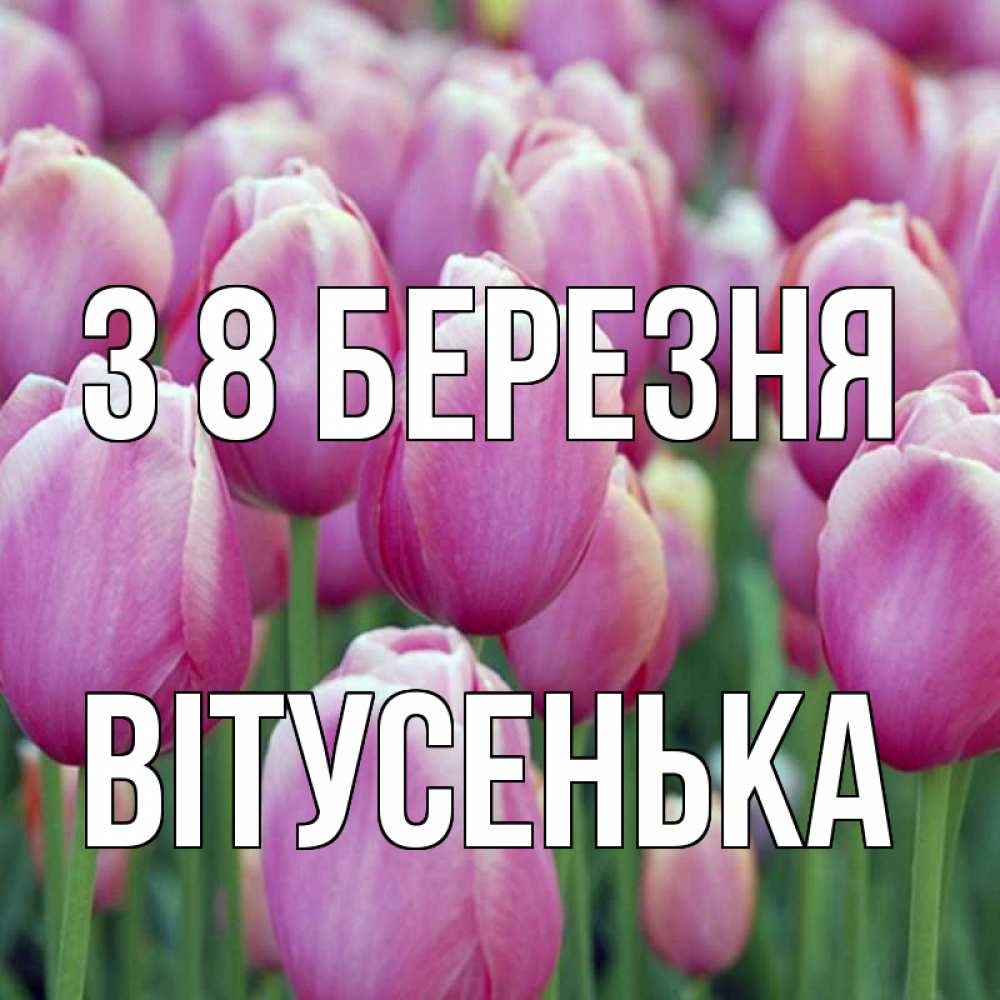 Открытка на каждый день з підписом, Вітусенька З 8 БЕРЕЗНЯ на международный женский день 3 Прикольна листівка з побажанням онлайн скачати безкоштовно 