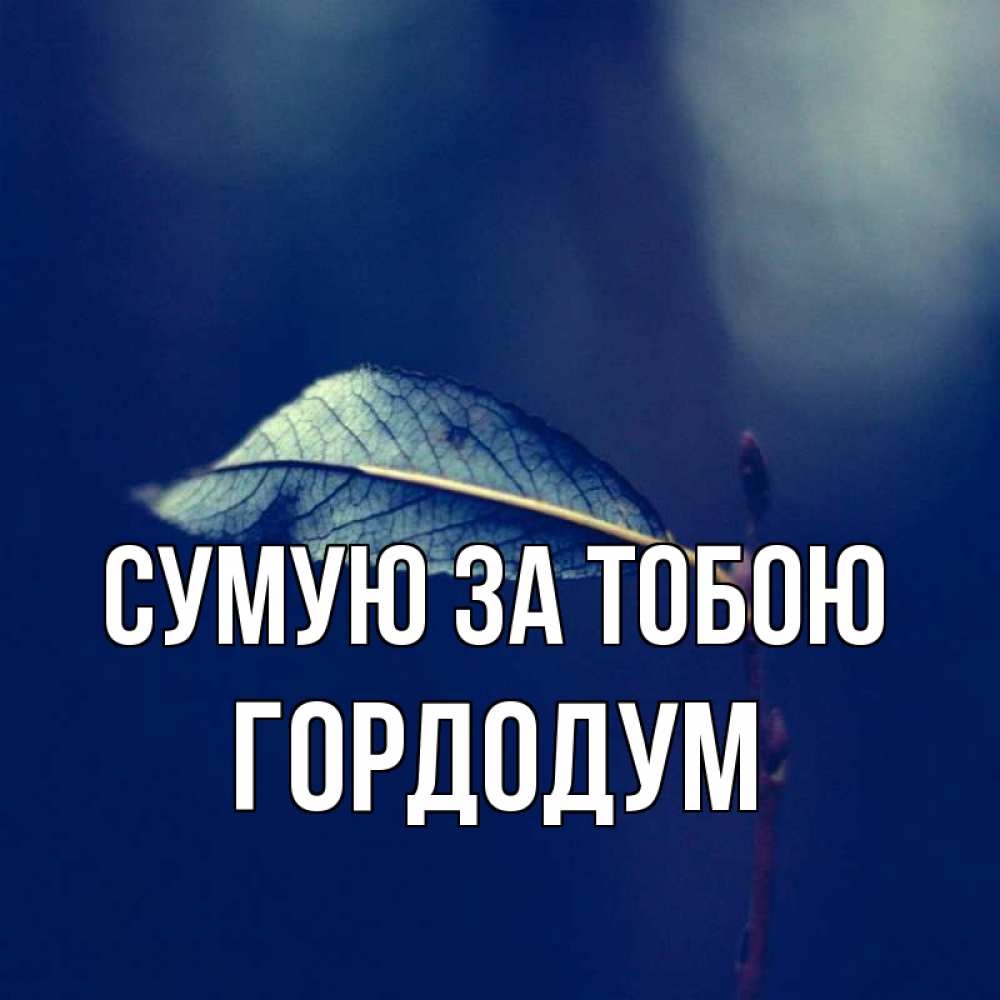 Открытка на каждый день з підписом, Гордодум Сумую за тобою одна ветка 1 Прикольна листівка з побажанням онлайн скачати безкоштовно 