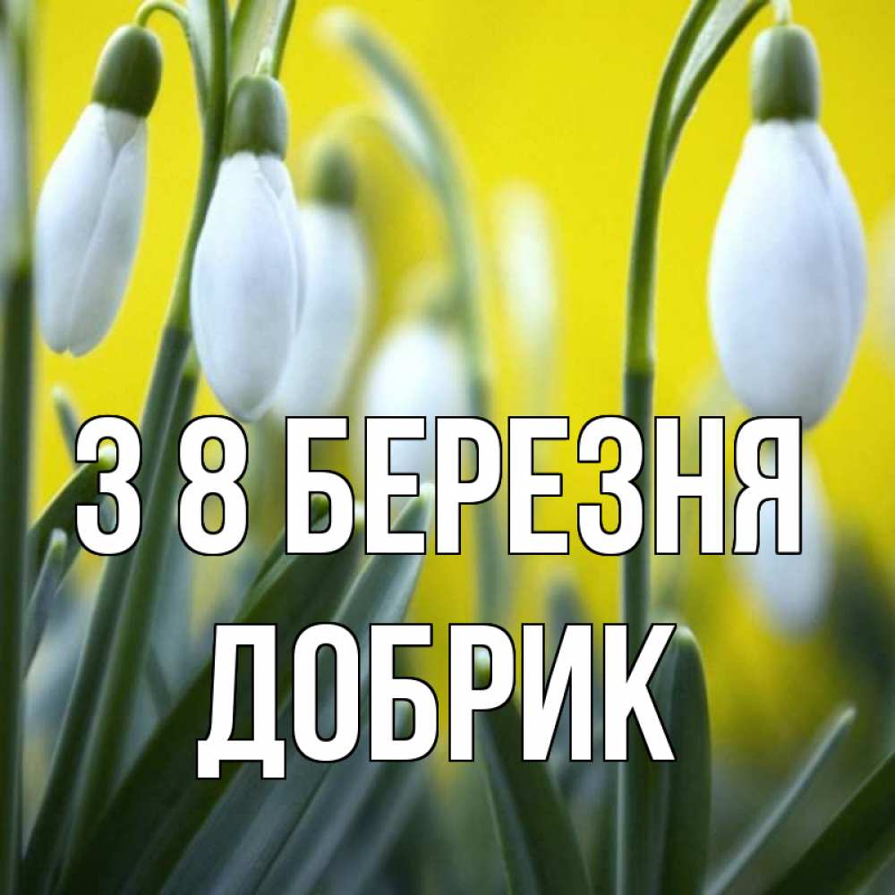 Открытка на каждый день з підписом, Добрик З 8 БЕРЕЗНЯ весенние цветы Прикольна листівка з побажанням онлайн скачати безкоштовно 