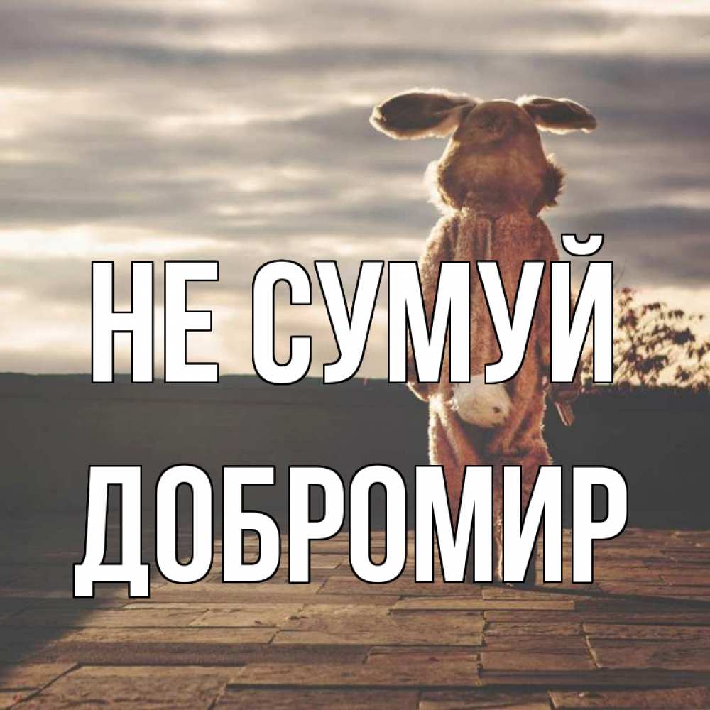 Открытка на каждый день з підписом, Добромир Не сумуй со спины Прикольна листівка з побажанням онлайн скачати безкоштовно 