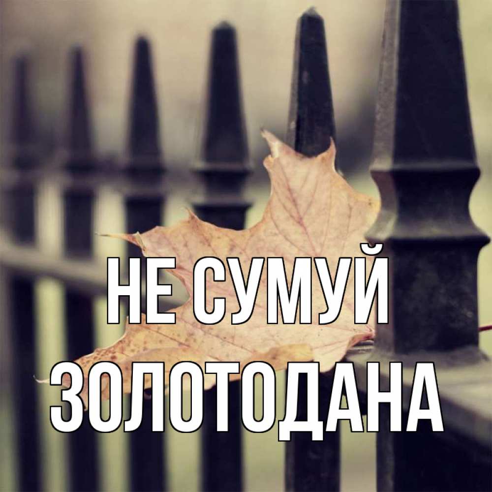 Открытка на каждый день з підписом, Золотодана Не сумуй лист клена Прикольна листівка з побажанням онлайн скачати безкоштовно 