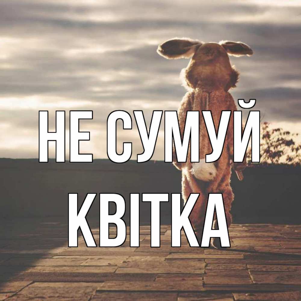 Открытка на каждый день з підписом, Квітка Не сумуй со спины Прикольна листівка з побажанням онлайн скачати безкоштовно 