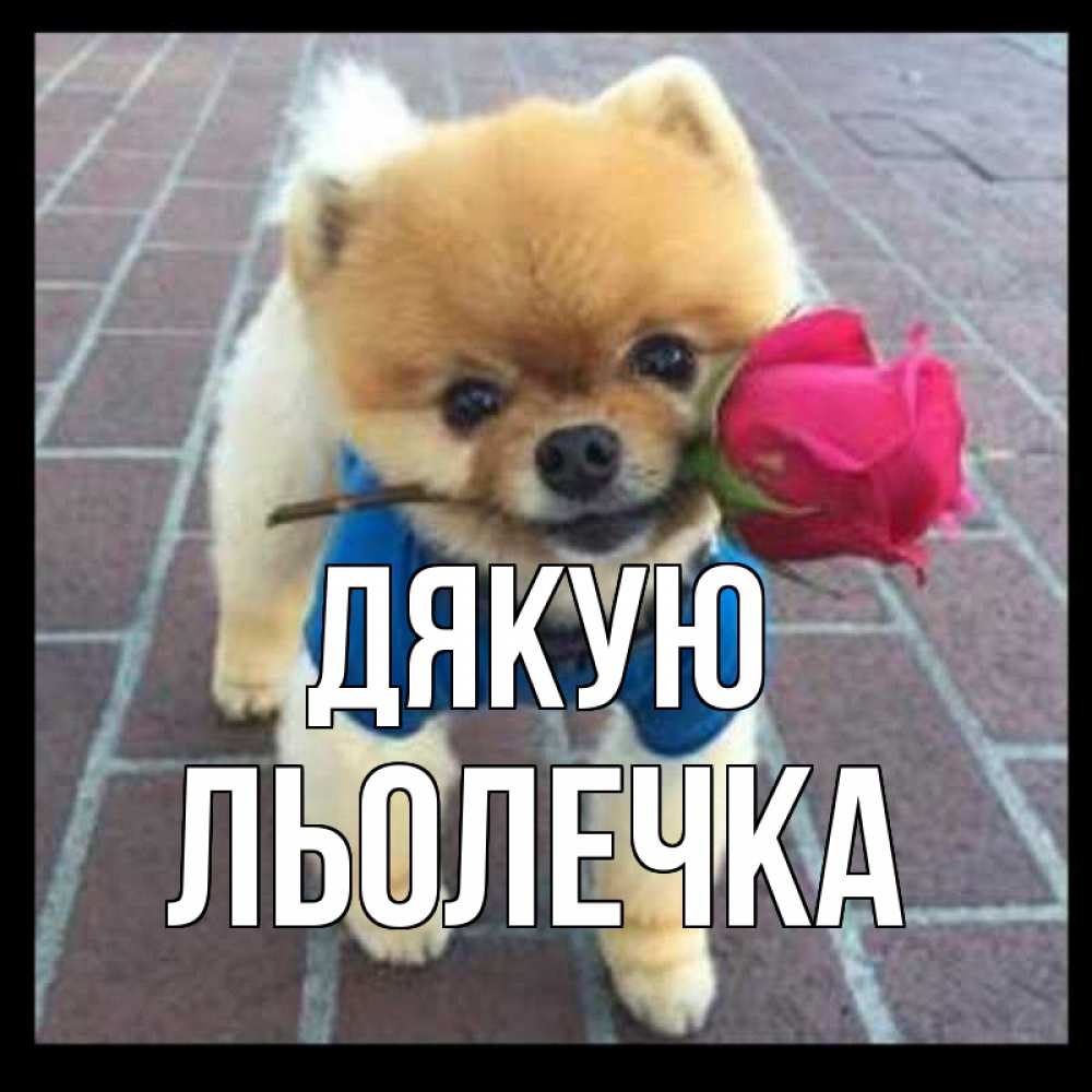 Открытка на каждый день з підписом, Льолечка Дякую спасибо и дарю тебе цветок Прикольна листівка з побажанням онлайн скачати безкоштовно 