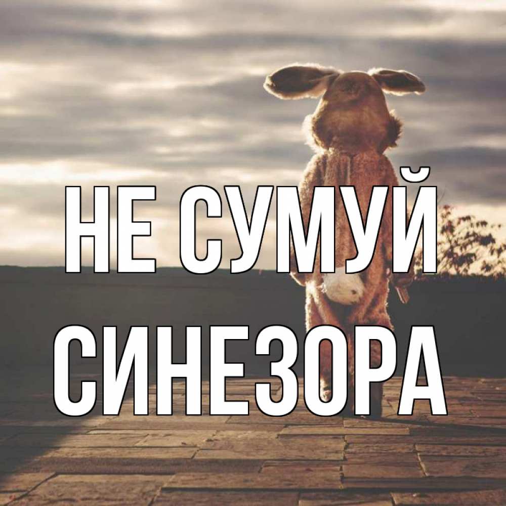 Открытка на каждый день з підписом, Синезора Не сумуй со спины Прикольна листівка з побажанням онлайн скачати безкоштовно 