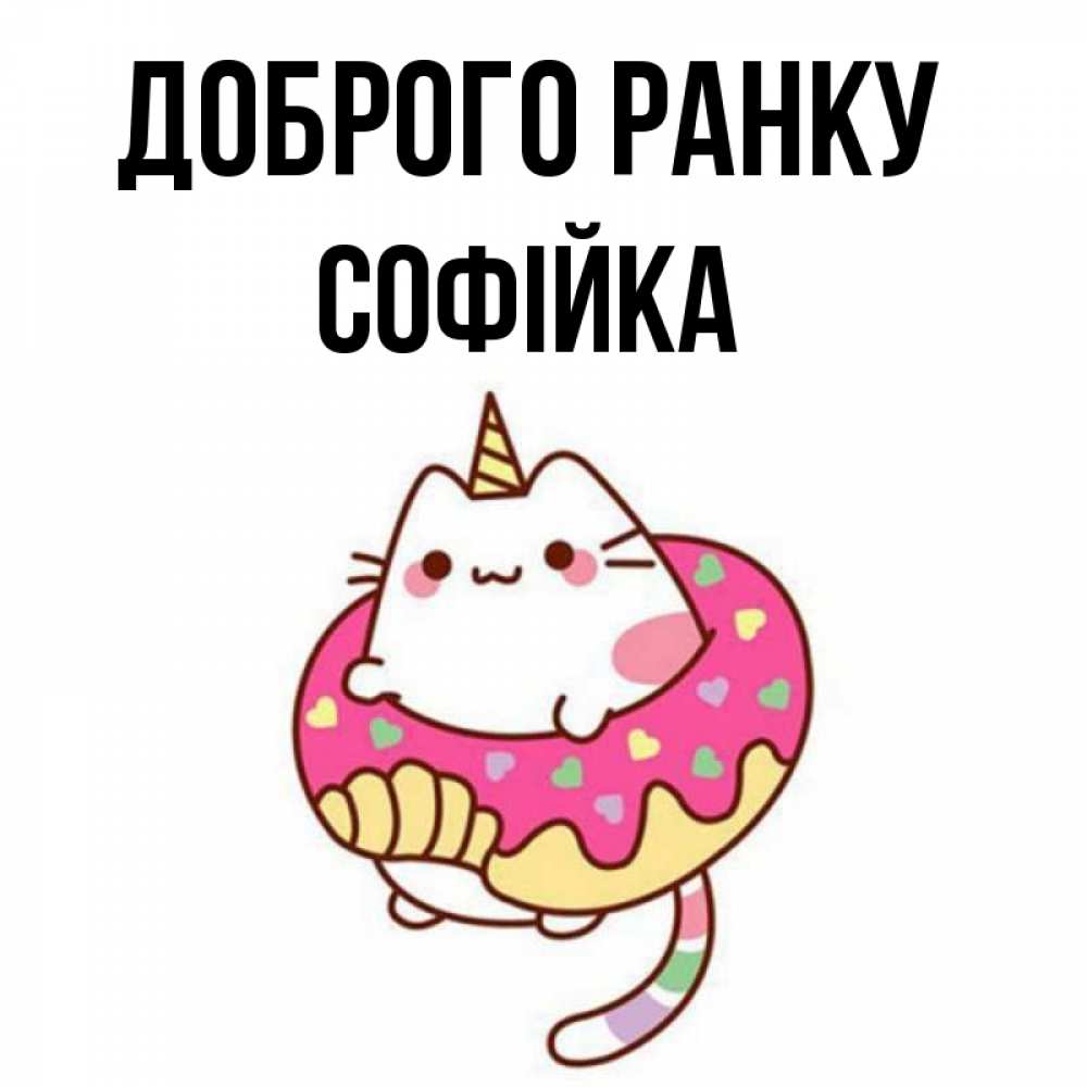 Открытка на каждый день з підписом, Софійка Доброго ранку кот в бублике Прикольна листівка з побажанням онлайн скачати безкоштовно 