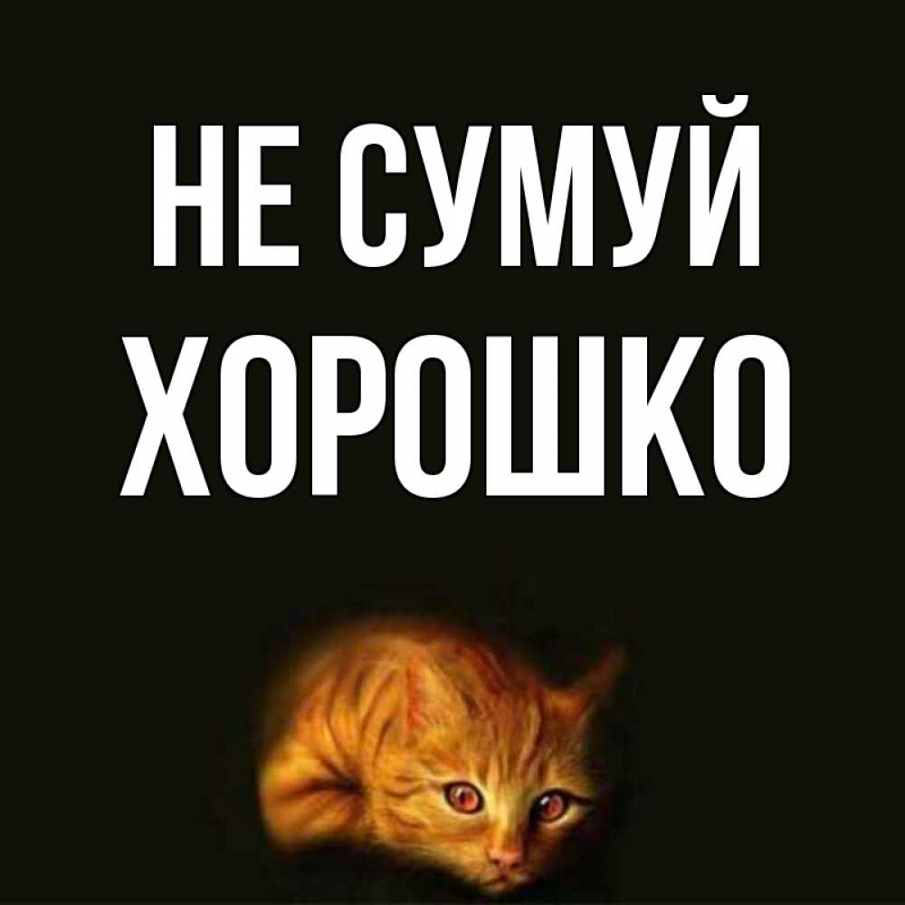Открытка на каждый день з підписом, Хорошко Не сумуй лежащий кот в темноте Прикольна листівка з побажанням онлайн скачати безкоштовно 