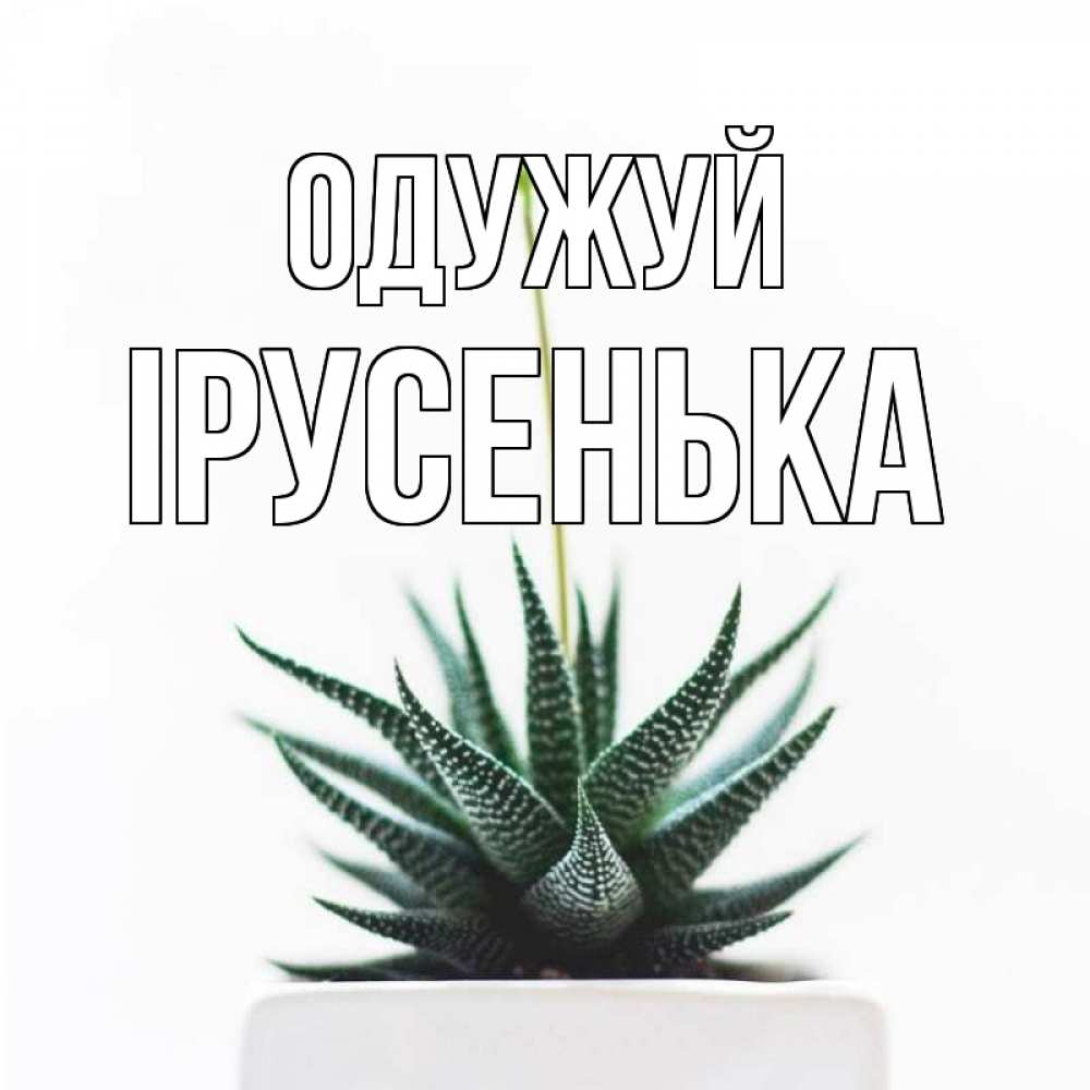 Открытка на каждый день з підписом, Ірусенька Одужуй короче это непонятная колючка Прикольна листівка з побажанням онлайн скачати безкоштовно 