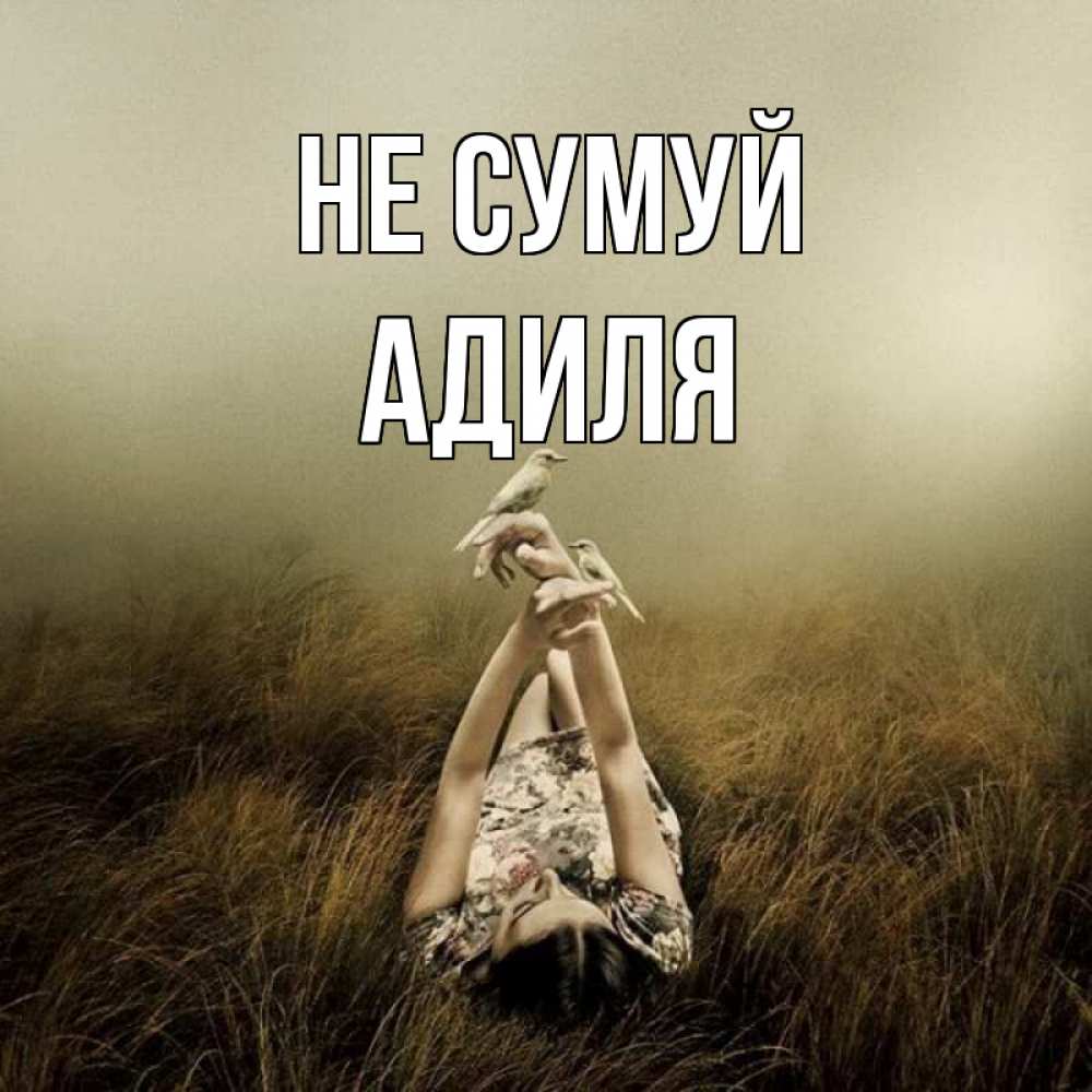 Открытка на каждый день з підписом, Адиля Не сумуй поле и туман Прикольна листівка з побажанням онлайн скачати безкоштовно 