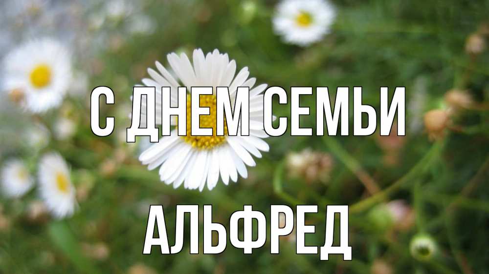 Открытка на каждый день з підписом, Альфред С днем семьи с днем семьи Прикольна листівка з побажанням онлайн скачати безкоштовно 