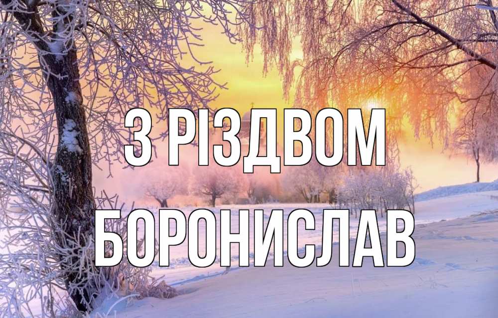 Открытка на каждый день з підписом, Боронислав З Різдвом рождество, лес, зима 1 Прикольна листівка з побажанням онлайн скачати безкоштовно 