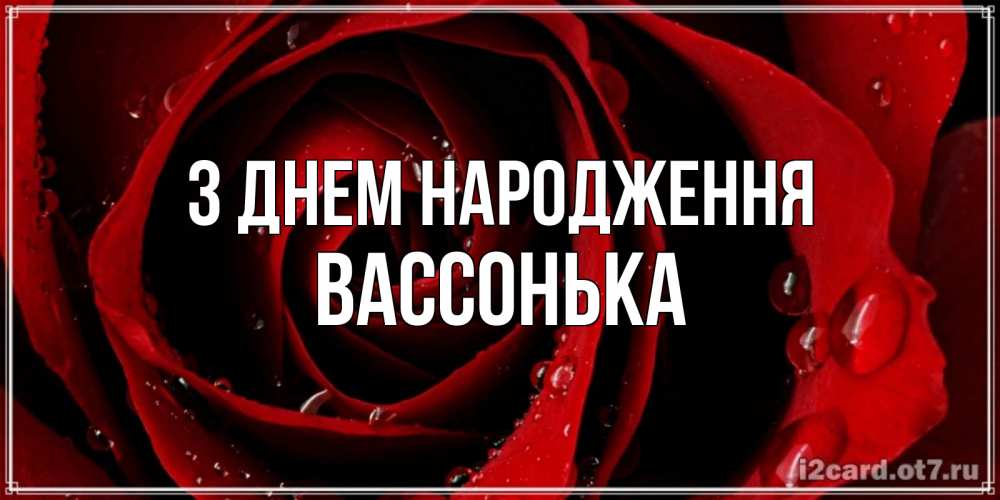 Открытка на каждый день з підписом, Вассонька З Днем народження крупная бордовая роза Прикольна листівка з побажанням онлайн скачати безкоштовно 