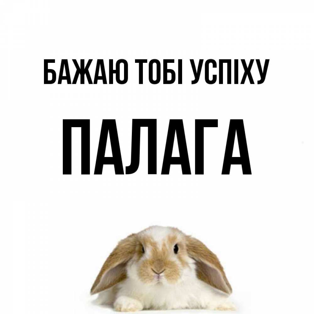 Открытка на каждый день з підписом, Палага Бажаю тобі успіху открытки с произвольным текстом который можно вставить в открытку и создать ее самостоятельно бесплатно онлайн Прикольна листівка з побажанням онлайн скачати безкоштовно 
