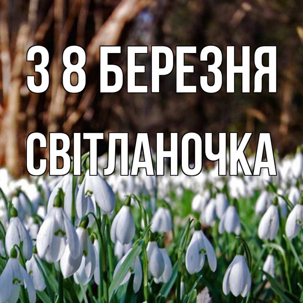 Открытка на каждый день з підписом, Світланочка З 8 БЕРЕЗНЯ с подснежниками 1 Прикольна листівка з побажанням онлайн скачати безкоштовно 