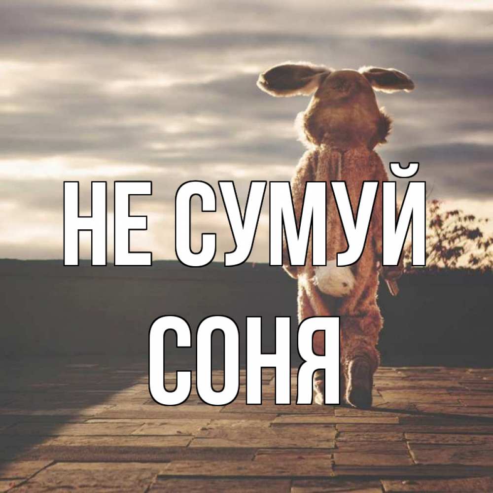 Открытка на каждый день з підписом, Соня Не сумуй со спины Прикольна листівка з побажанням онлайн скачати безкоштовно 