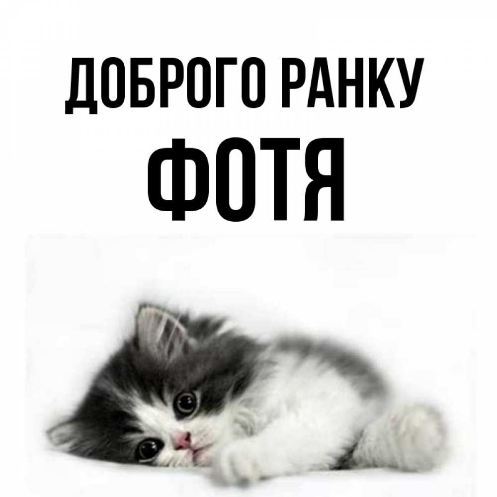 Открытка на каждый день з підписом, Фотя Доброго ранку кот лапки Прикольна листівка з побажанням онлайн скачати безкоштовно 