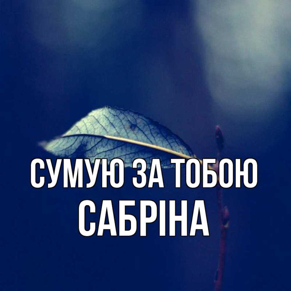 Открытка на каждый день з підписом, Сабріна Сумую за тобою одна ветка 1 Прикольна листівка з побажанням онлайн скачати безкоштовно 
