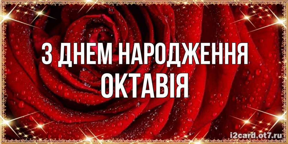Открытка на каждый день з підписом, Октавія З Днем народження роса на розе блестящая в лучах солнца Прикольна листівка з побажанням онлайн скачати безкоштовно 