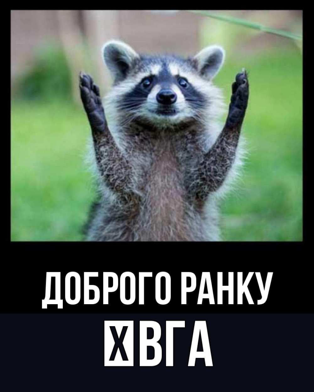 Открытка на каждый день з підписом, Ївга Доброго ранку хорошее настроение утречком Прикольна листівка з побажанням онлайн скачати безкоштовно 