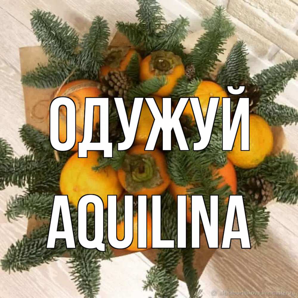 Открытка на каждый день з підписом, Aquilina Одужуй апельсины и хурьма Прикольна листівка з побажанням онлайн скачати безкоштовно 