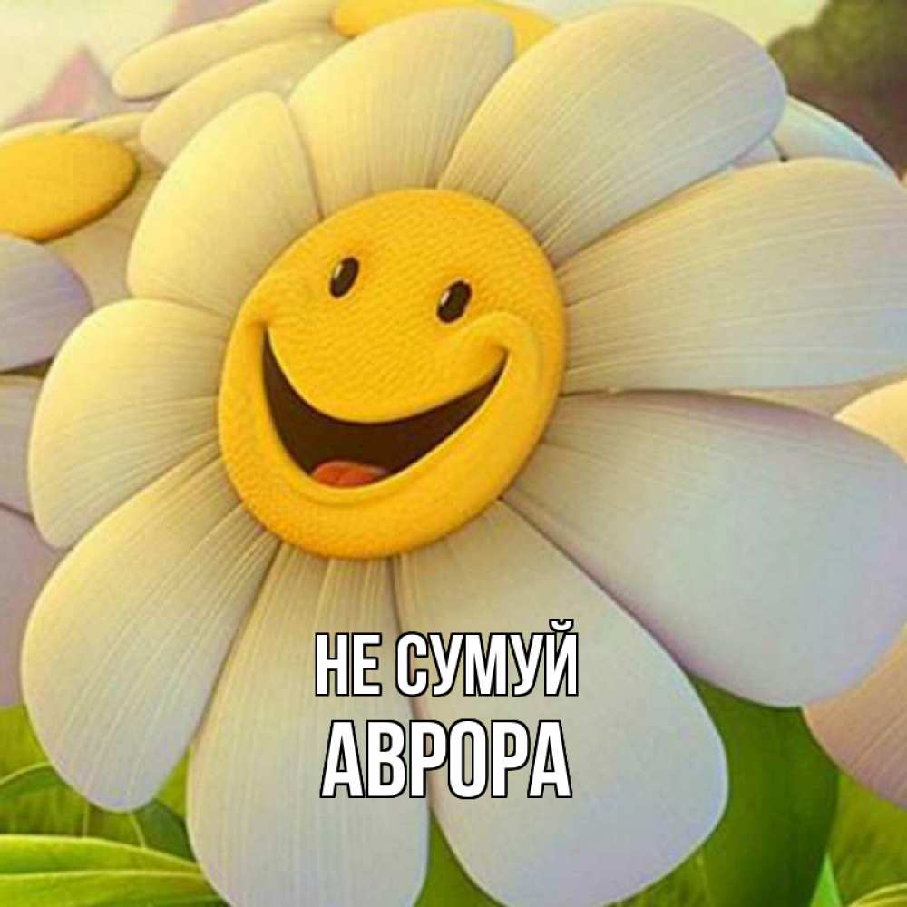 Открытка на каждый день з підписом, Аврора Не сумуй огромная улыбающаяся ромашуща Прикольна листівка з побажанням онлайн скачати безкоштовно 