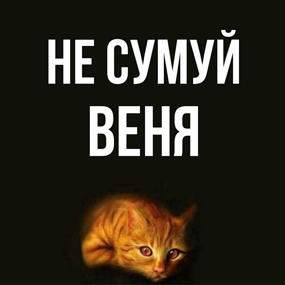 Открытка на каждый день з підписом, Веня Не сумуй лежащий кот в темноте Прикольна листівка з побажанням онлайн скачати безкоштовно 