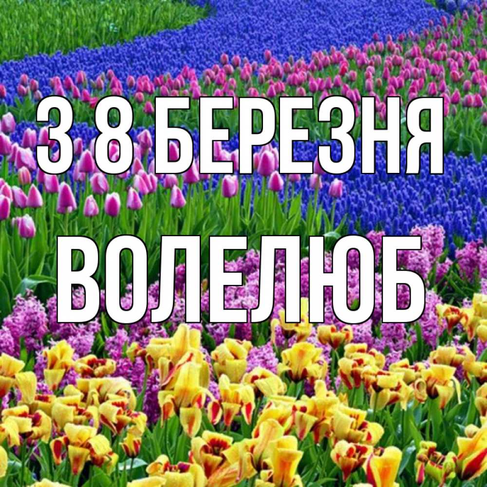 Открытка на каждый день з підписом, Волелюб З 8 БЕРЕЗНЯ цветы Прикольна листівка з побажанням онлайн скачати безкоштовно 