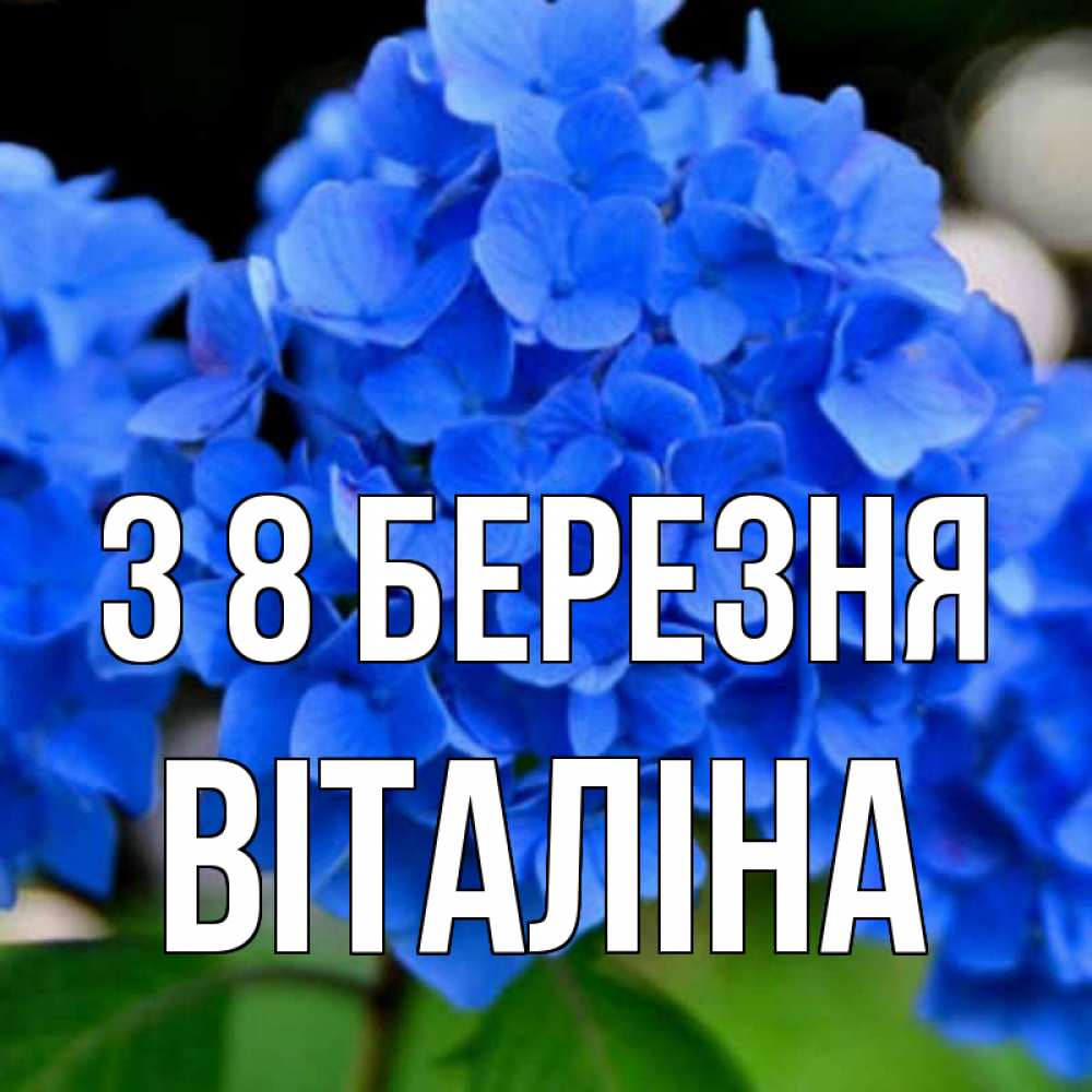 Открытка на каждый день з підписом, Віталіна З 8 БЕРЕЗНЯ синие цветы Прикольна листівка з побажанням онлайн скачати безкоштовно 