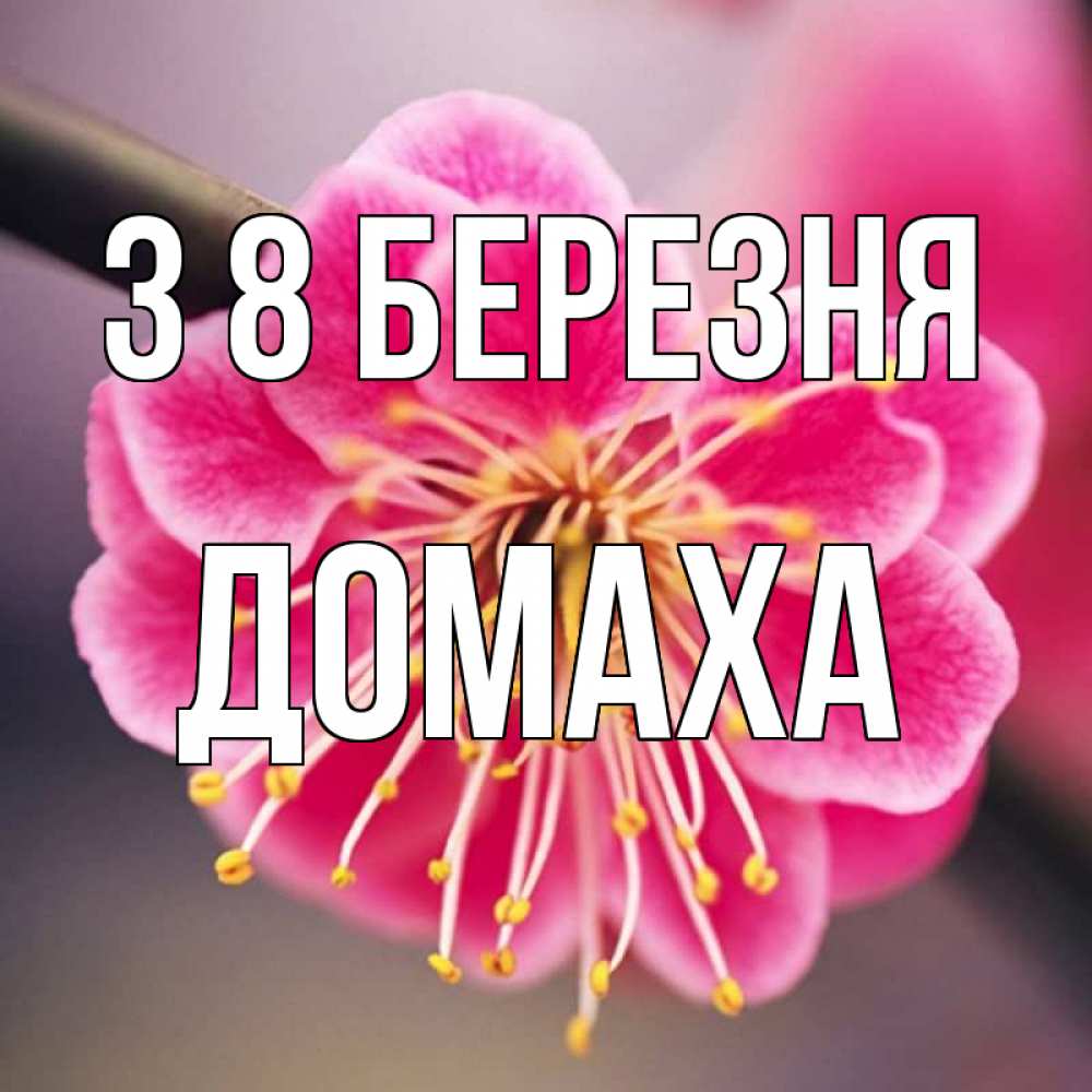 Открытка на каждый день з підписом, Домаха З 8 БЕРЕЗНЯ цветы Прикольна листівка з побажанням онлайн скачати безкоштовно 