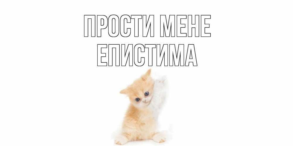 Открытка на каждый день з підписом, Епистима Прости мене кот Прикольна листівка з побажанням онлайн скачати безкоштовно 
