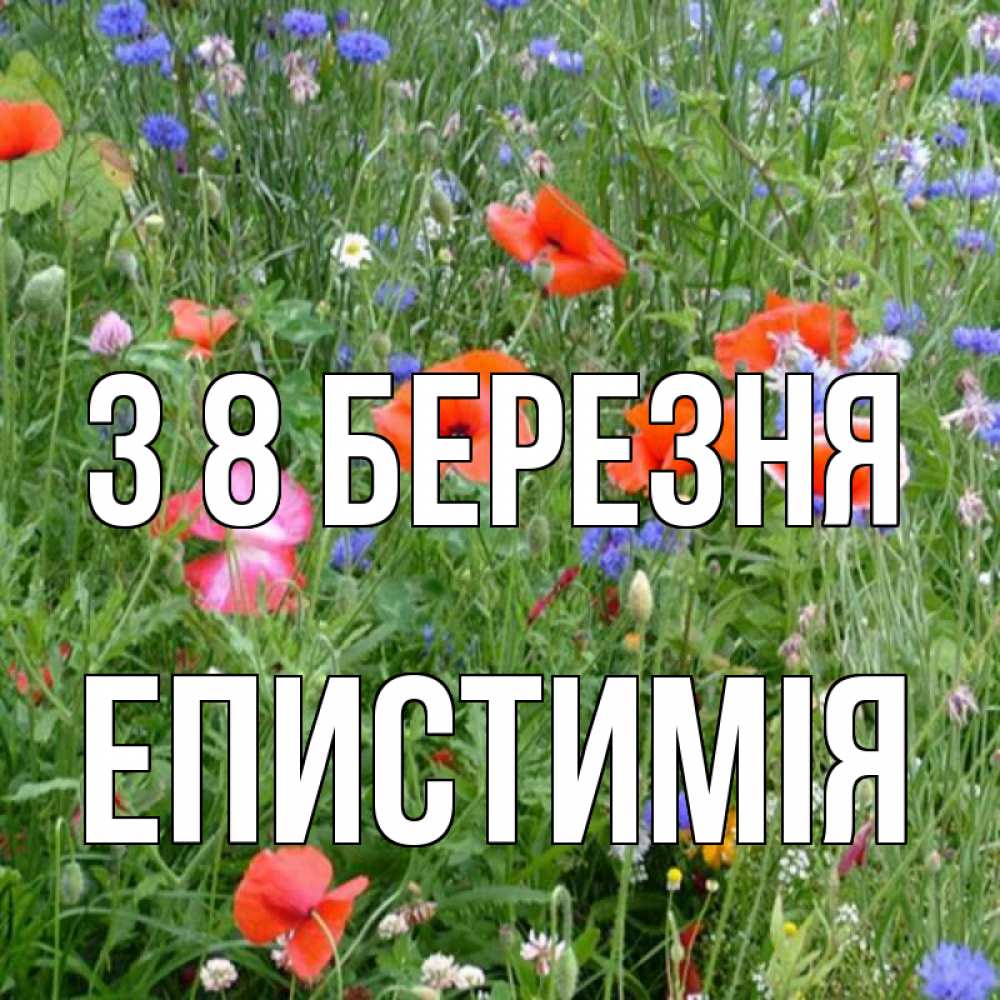 Открытка на каждый день з підписом, Епистимія З 8 БЕРЕЗНЯ международный женский день 4 Прикольна листівка з побажанням онлайн скачати безкоштовно 