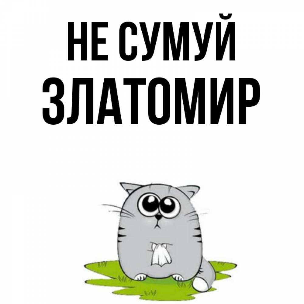 Открытка на каждый день з підписом, Златомир Не сумуй грустный котяра Прикольна листівка з побажанням онлайн скачати безкоштовно 