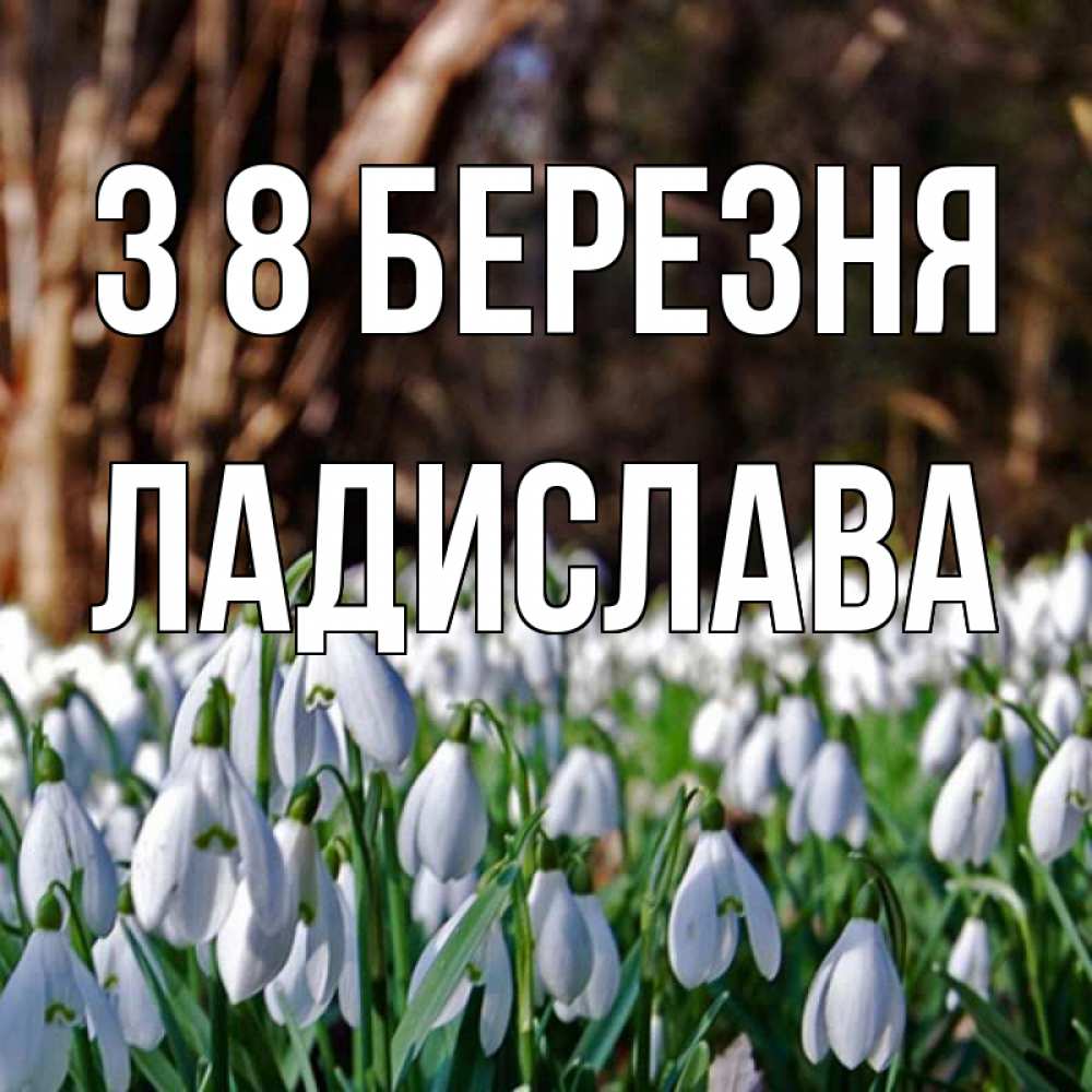 Открытка на каждый день з підписом, Ладислава З 8 БЕРЕЗНЯ с подснежниками 1 Прикольна листівка з побажанням онлайн скачати безкоштовно 