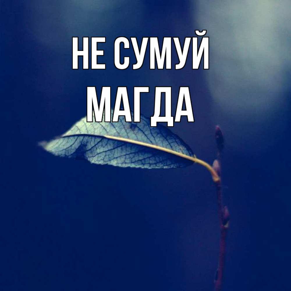Открытка на каждый день з підписом, Магда Не сумуй растение Прикольна листівка з побажанням онлайн скачати безкоштовно 