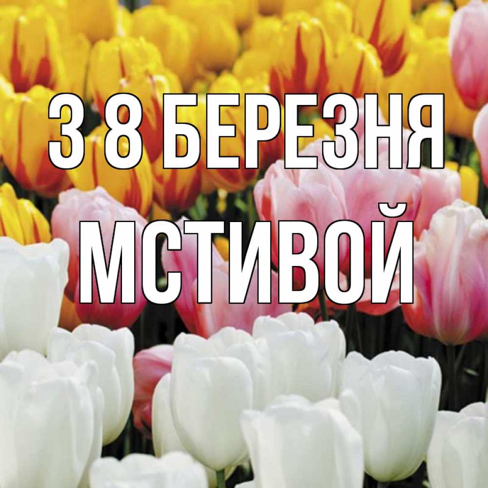 Открытка на каждый день з підписом, Мстивой З 8 БЕРЕЗНЯ разноцветные цветы Прикольна листівка з побажанням онлайн скачати безкоштовно 