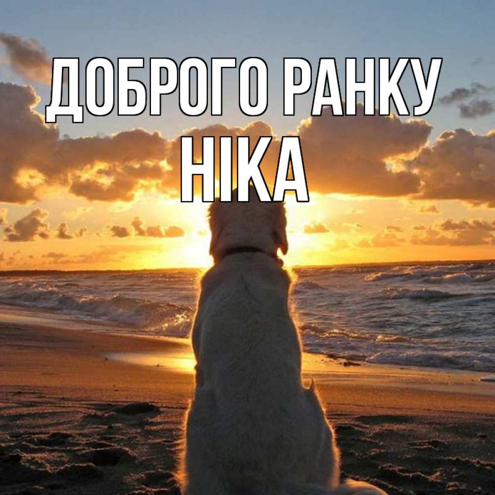 Открытка на каждый день з підписом, Ніка Доброго ранку восход солнца Прикольна листівка з побажанням онлайн скачати безкоштовно 