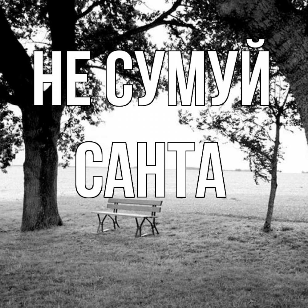 Открытка на каждый день з підписом, Санта Не сумуй мощное дерево Прикольна листівка з побажанням онлайн скачати безкоштовно 