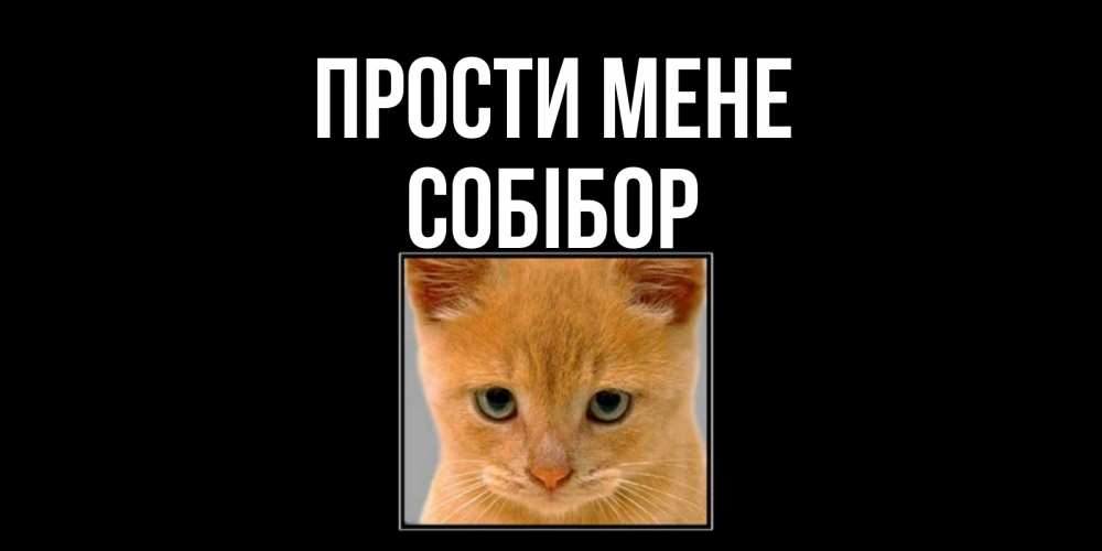 Открытка на каждый день з підписом, Собібор Прости мене рыжий грустный кот просит прощения Прикольна листівка з побажанням онлайн скачати безкоштовно 