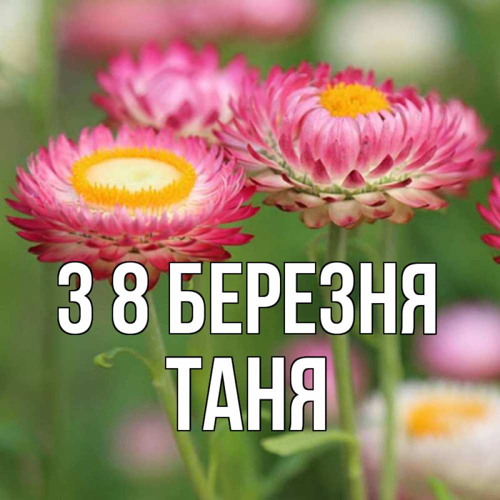 Открытка на каждый день з підписом, Таня З 8 БЕРЕЗНЯ подарок на международный женский день Прикольна листівка з побажанням онлайн скачати безкоштовно 