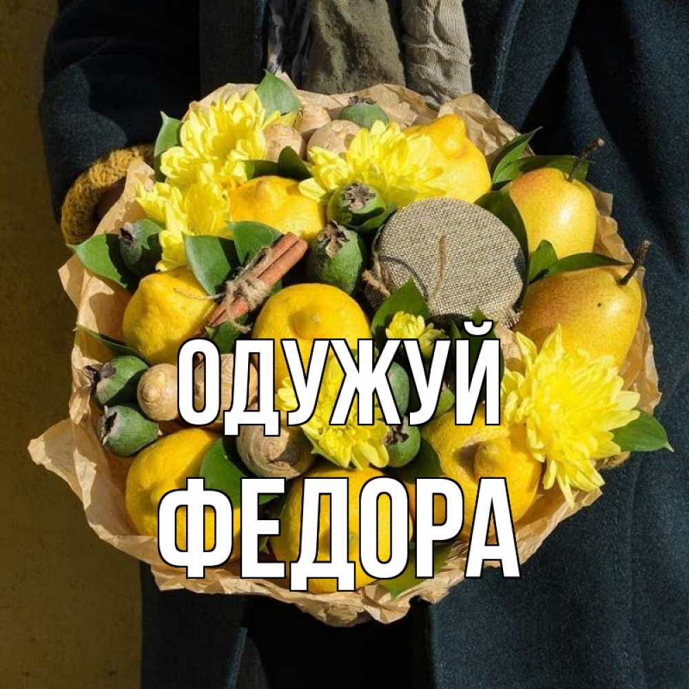 Открытка на каждый день з підписом, Федора Одужуй букет витаминов Прикольна листівка з побажанням онлайн скачати безкоштовно 